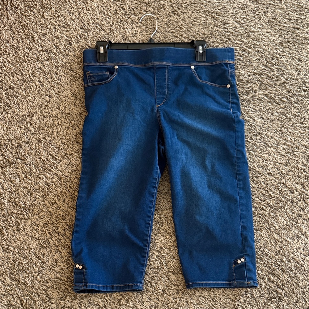 Gloria Vanderbilt Blue Capris